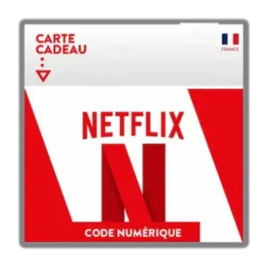 Carte Abonnement  Netflix EURO