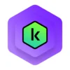 Kaspersky Internet Security Plus — 1 poste 1 an avec VPN illimité — YouShop DZ