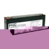 Batterie plomb-acide rechargeable 12V 2 Ah - secours sirène extérieure Elkron