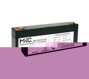 Batterie plomb-acide rechargeable 12V 2 Ah - secours sirène extérieure Elkron
