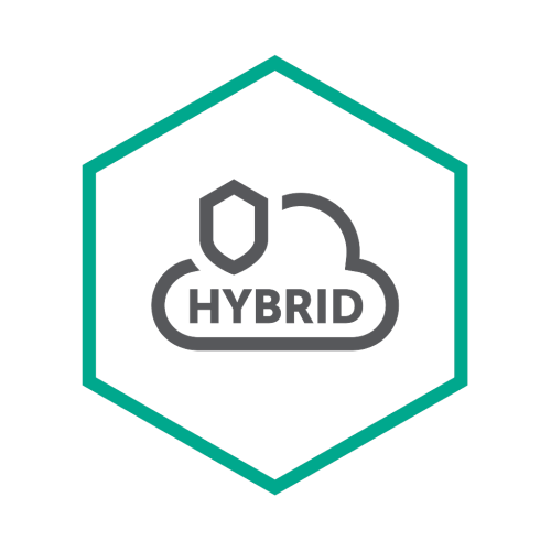 Kaspersky Hybrid Cloud Security – Server Kaspersky Hybrid Cloud Security – Server — vue de face — YouShop DZ