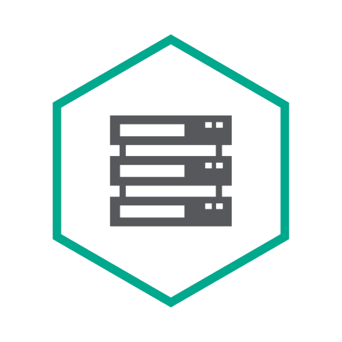 Kaspersky Security for Storage (KSS) Kaspersky Security for Storage (KSS) — vue de face — YouShop DZ