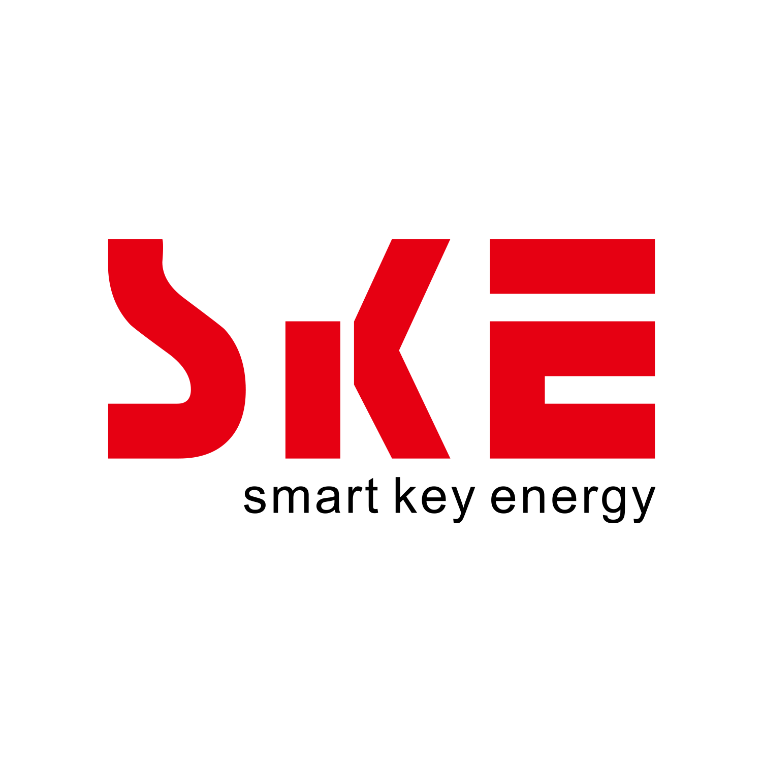 Logo SKE — marque distribuee YouShop DZ Logo SKE